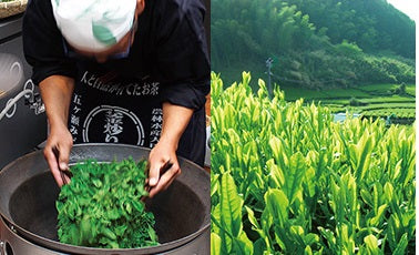 KAMAIRICHA "GOKASE" - Tea master Yoichi Korogi - 2025