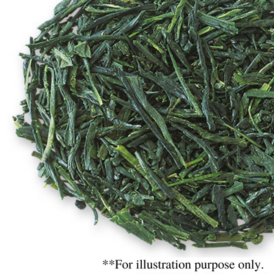 SENCHA "UJI" 2025