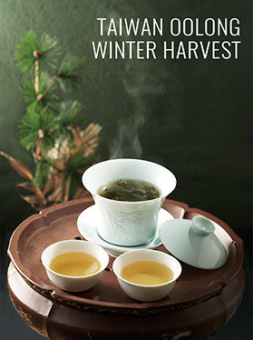 2023 Taiwanese Winter Oolongs now Available! + Matcha Restock