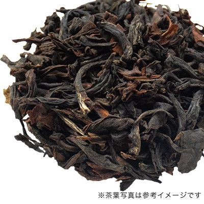 SUNGMA, FTGFOP1 2025