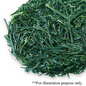 SENCHA "YAKUSHIMA" 2025